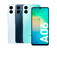 A06